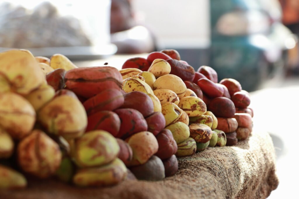 noix de kola