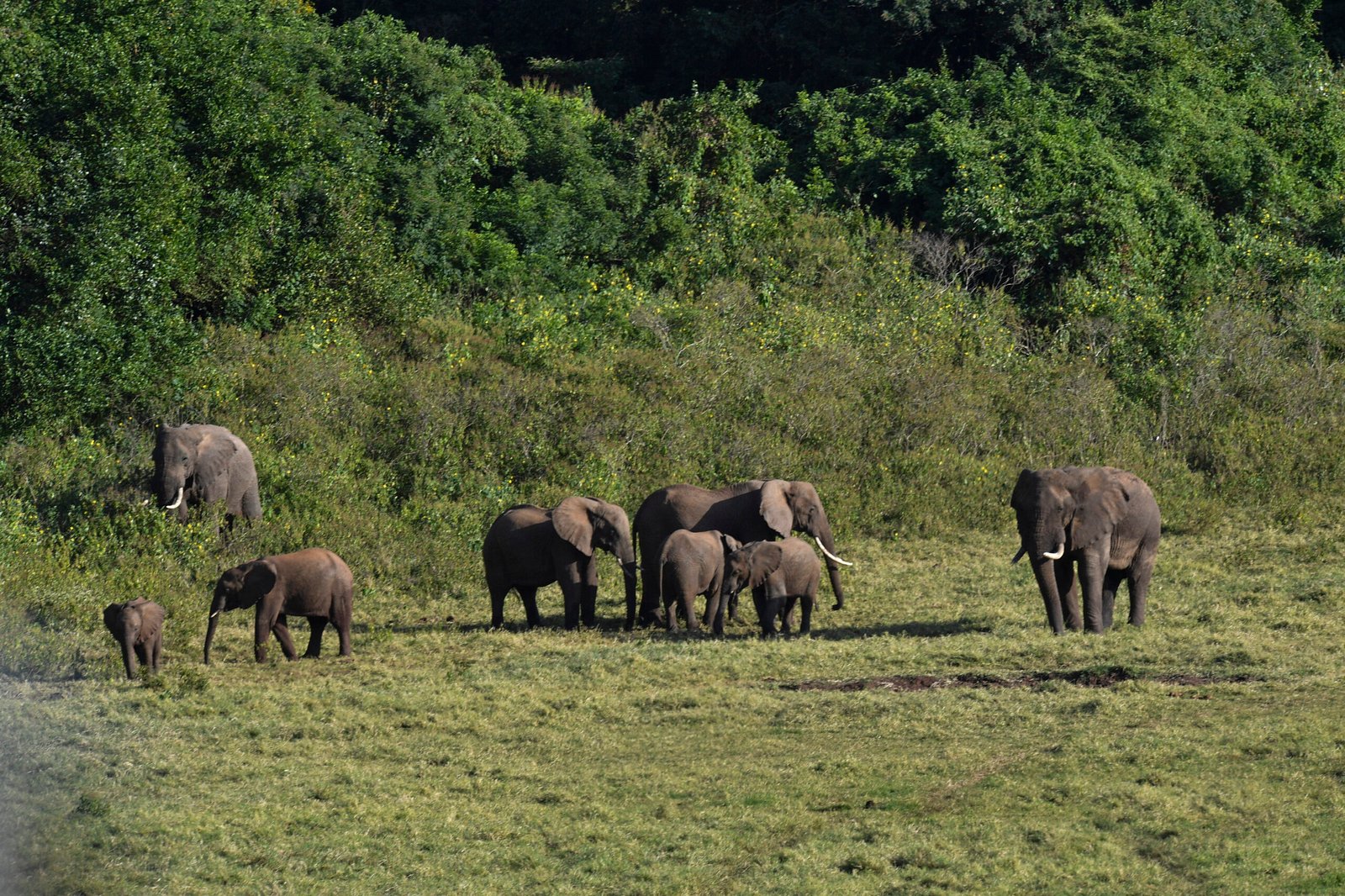 parc national de Marsabit