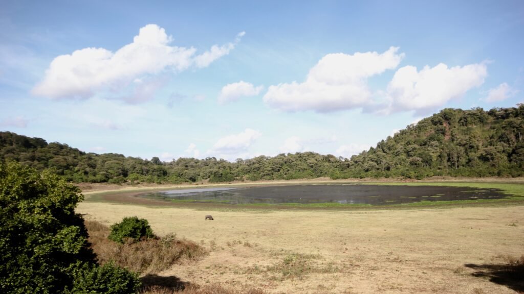 parc national de Marsabit