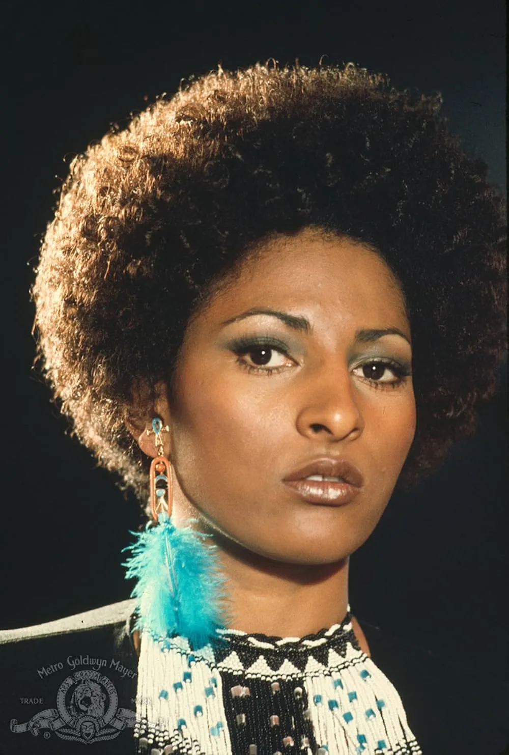 Pam Grier blaxploitation